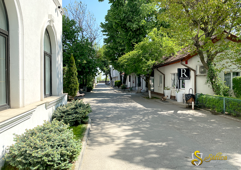 Intretinere cladiri si curte